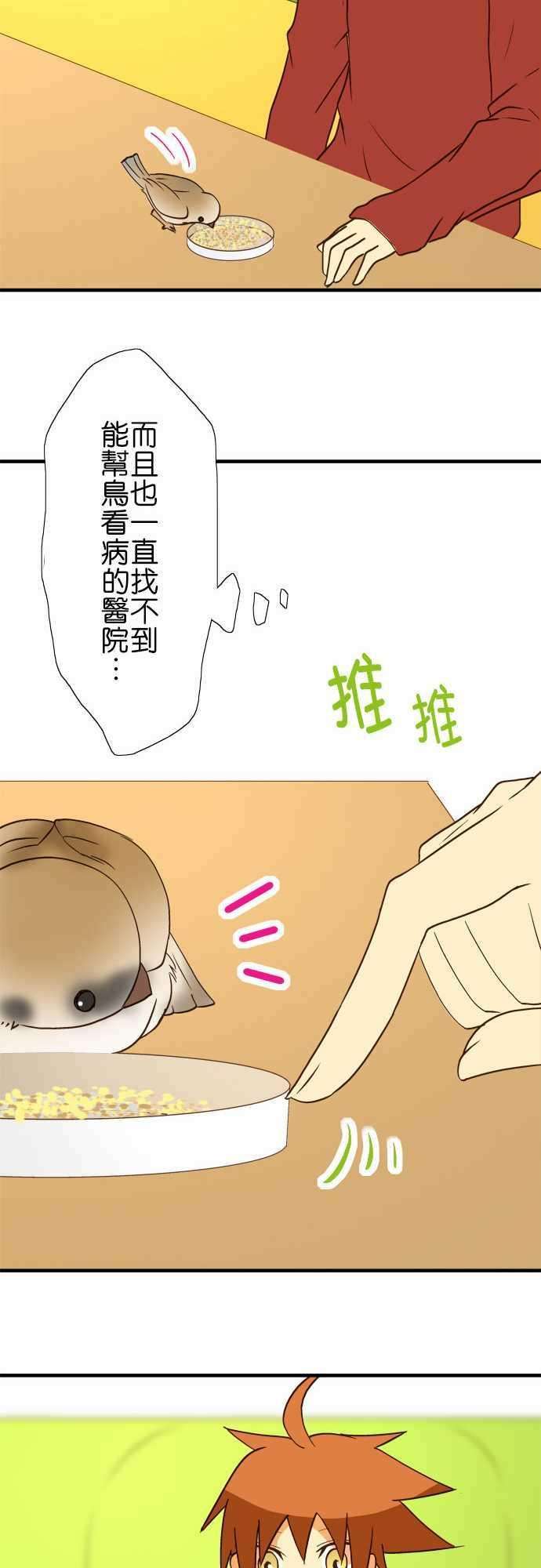 小木乃伊到我家40话 那天的愿望