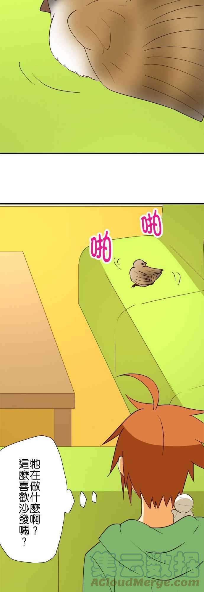 小木乃伊到我家40话 那天的愿望