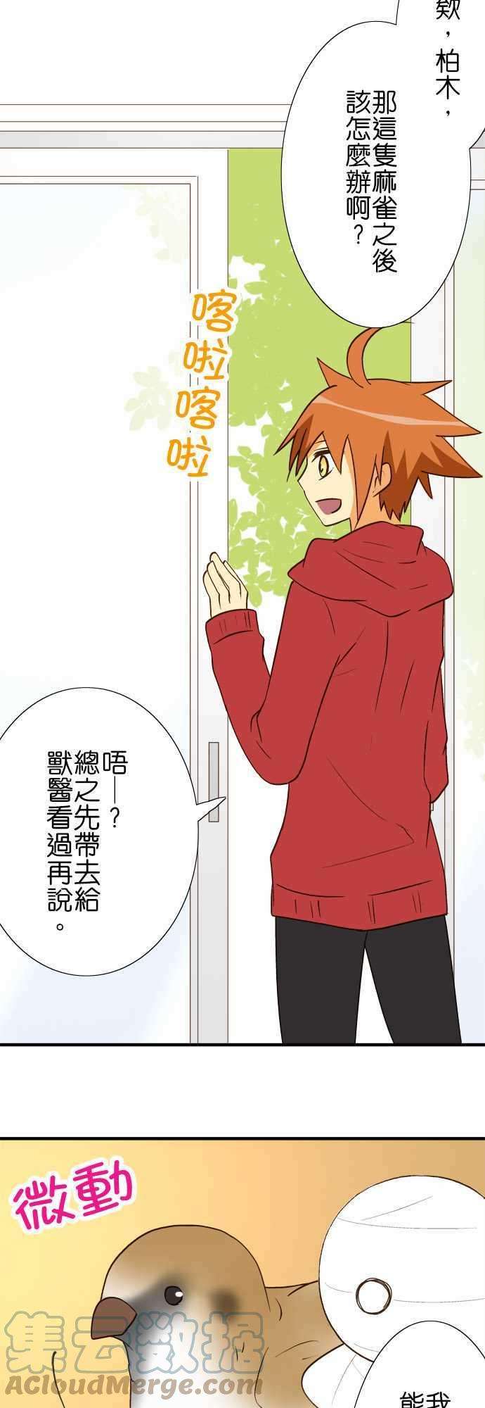 小木乃伊到我家40话 那天的愿望