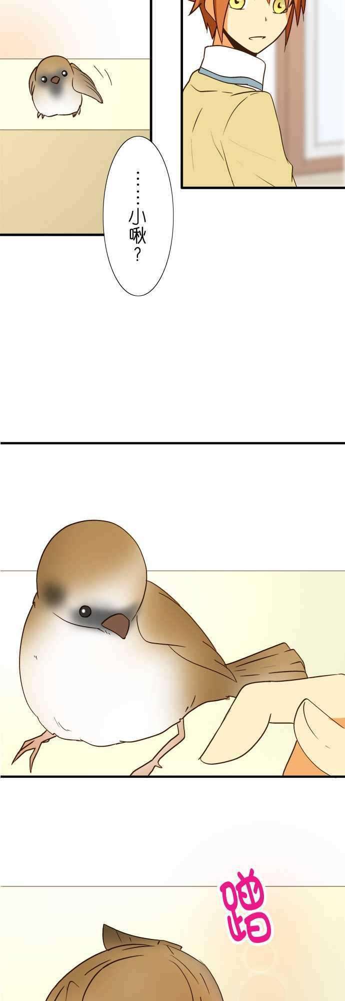 小木乃伊到我家40话 那天的愿望