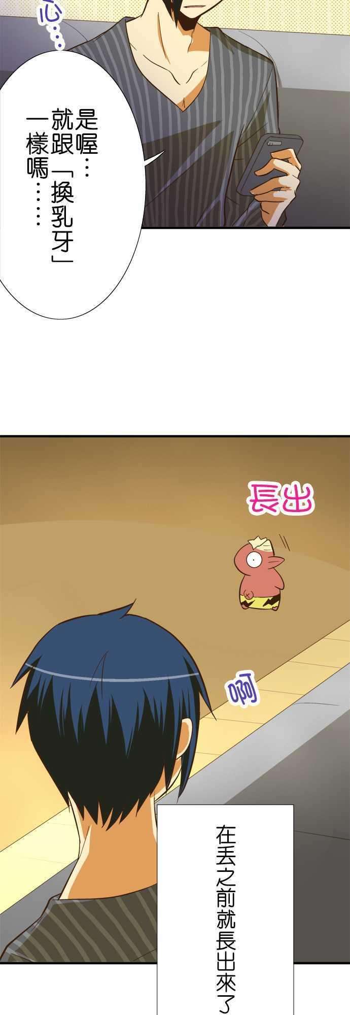 小木乃伊到我家61话 各自的生态