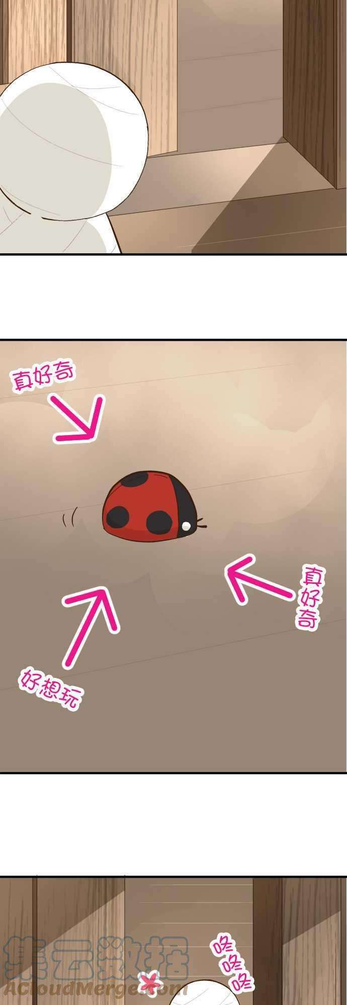 小木乃伊到我家72话 小伊的冒险