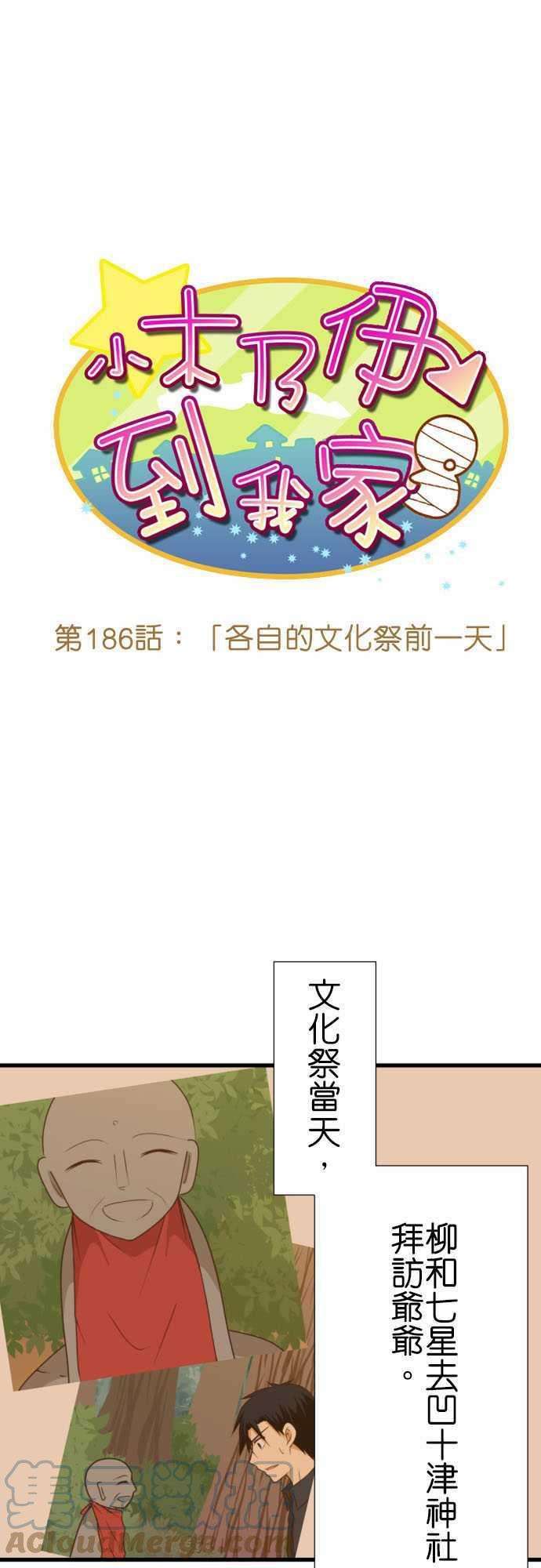 小木乃伊到我家186话 各自的文化祭前一天