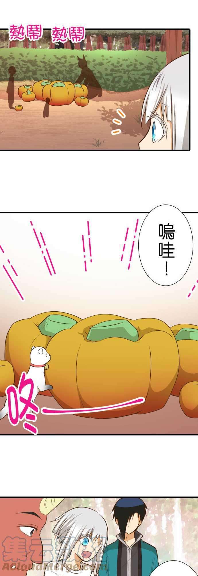 小木乃伊到我家231话 护腕