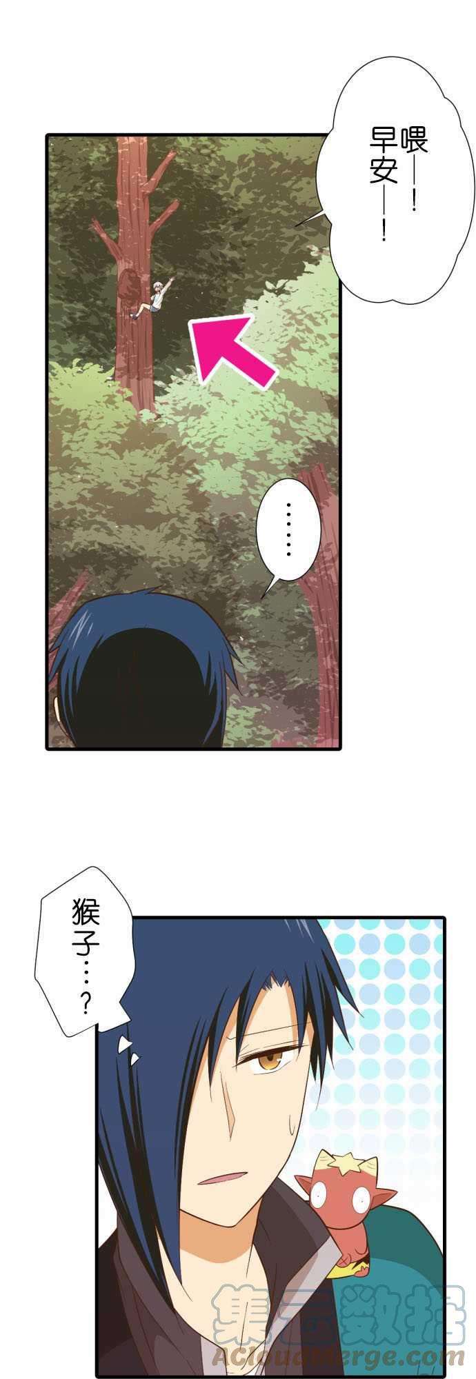 小木乃伊到我家231话 护腕