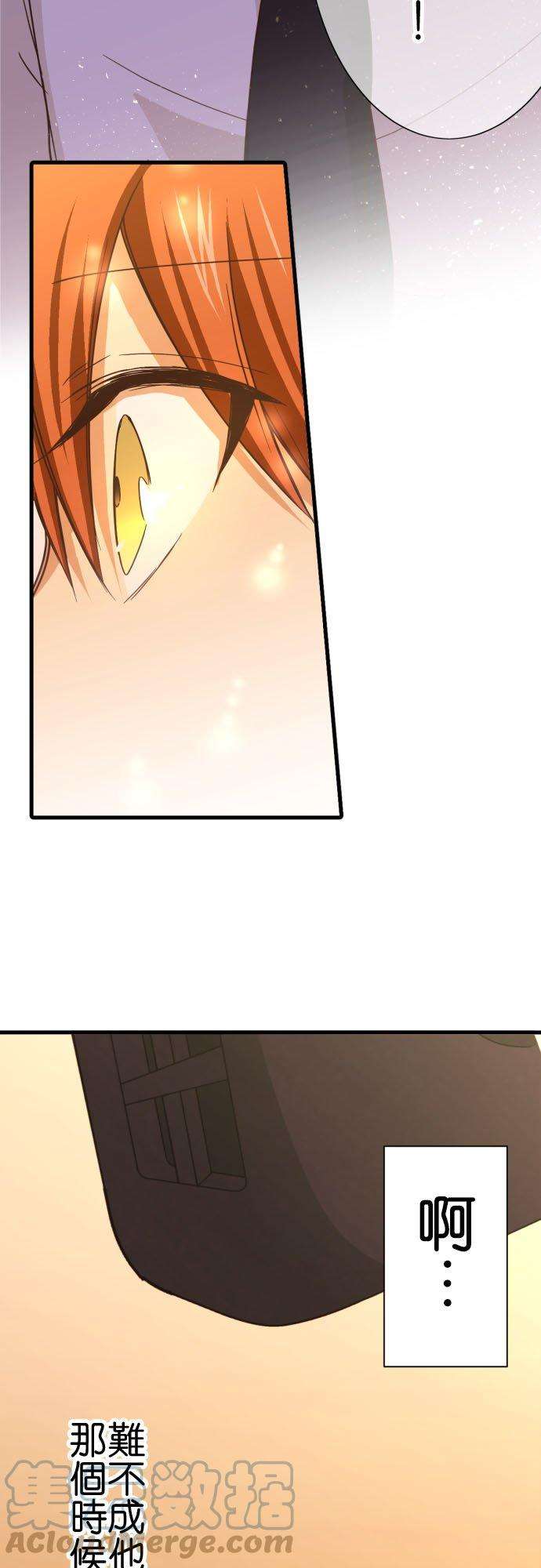 小木乃伊到我家251话 诅咒的尽头