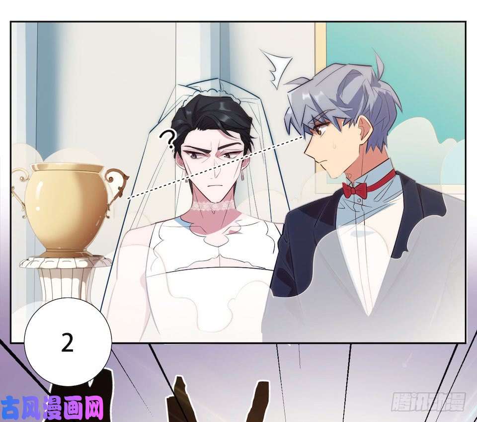 岳父大人是老婆1.婚礼上的超自然现象