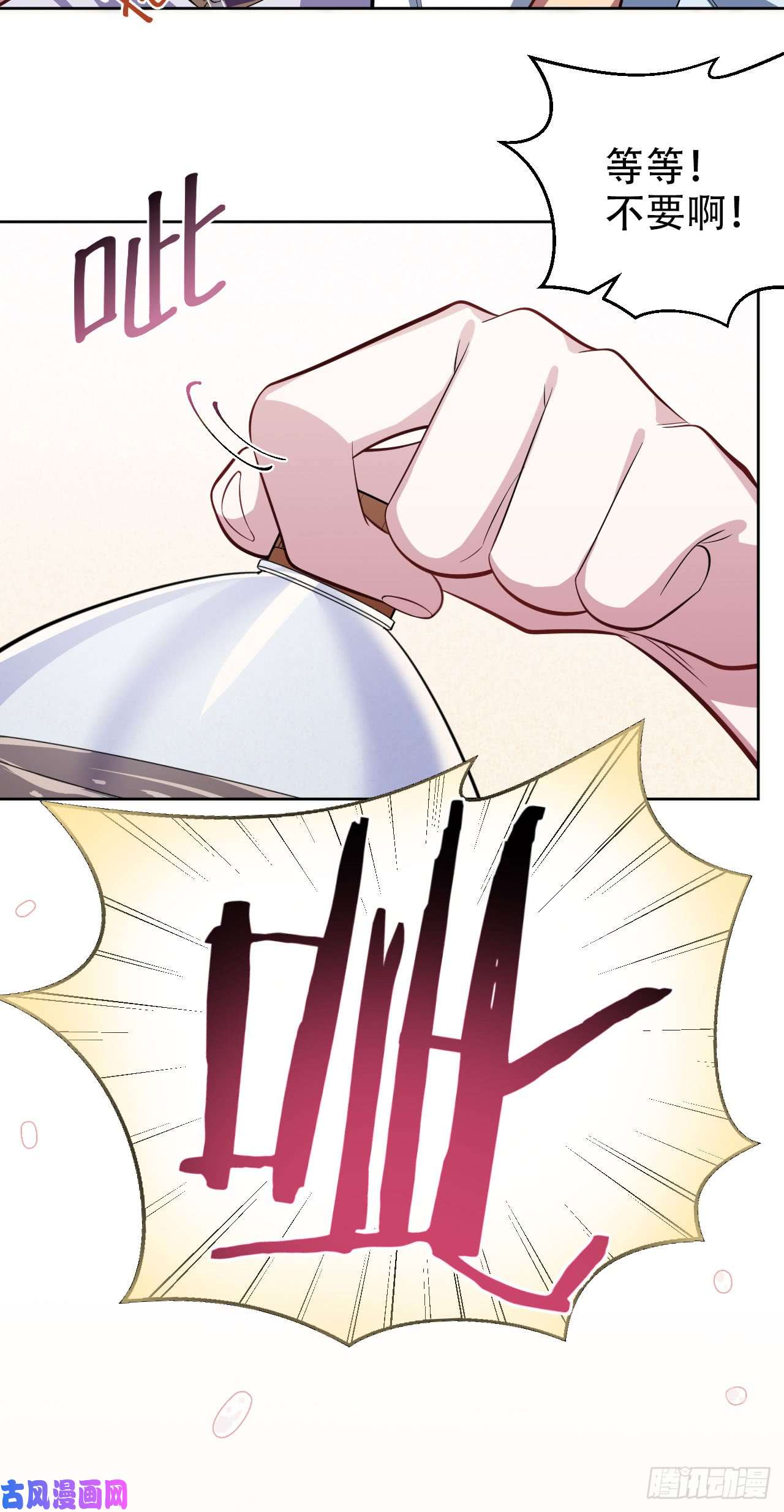 岳父大人是老婆12.意外之吻