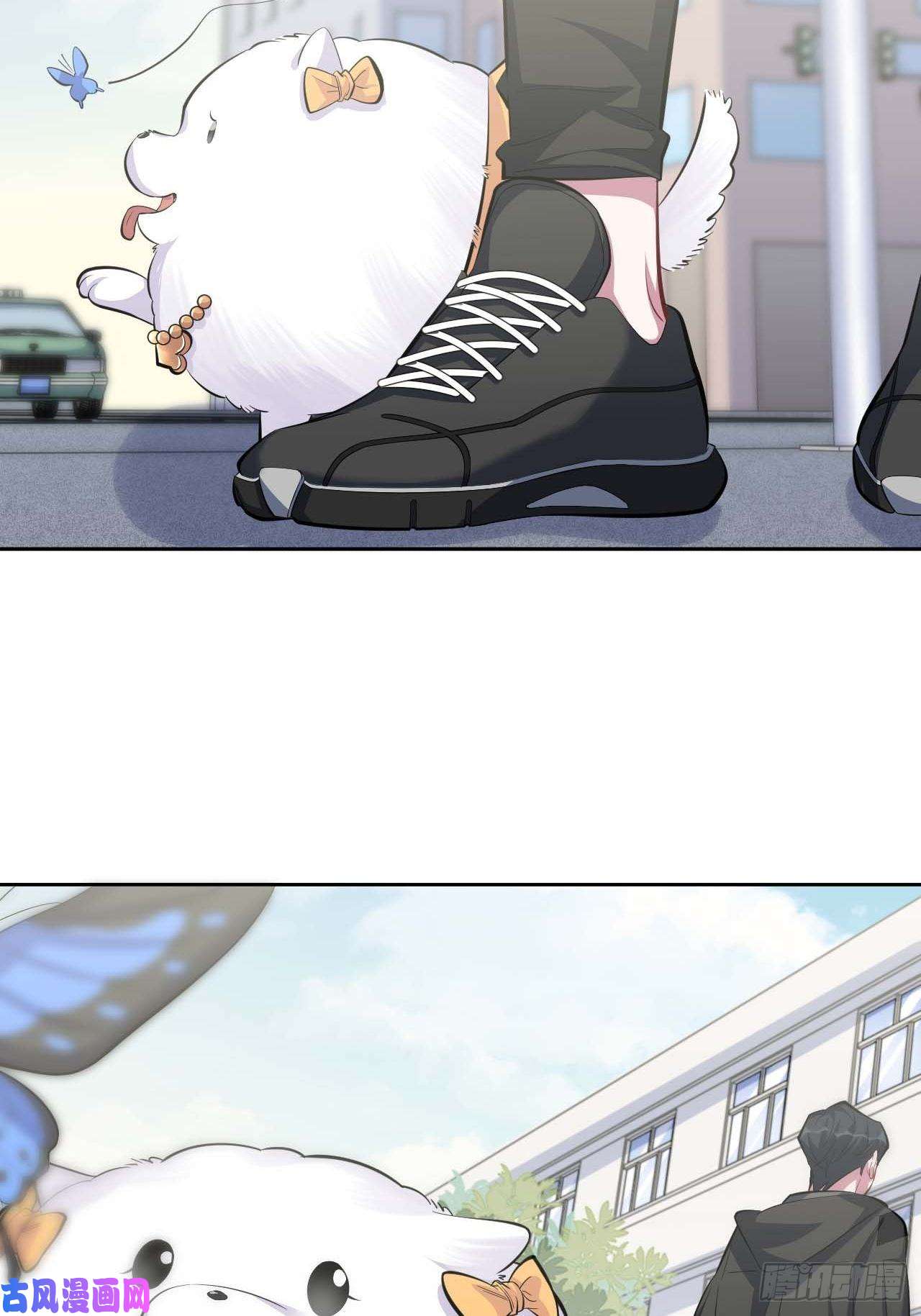 岳父大人是老婆31.球球走丢了