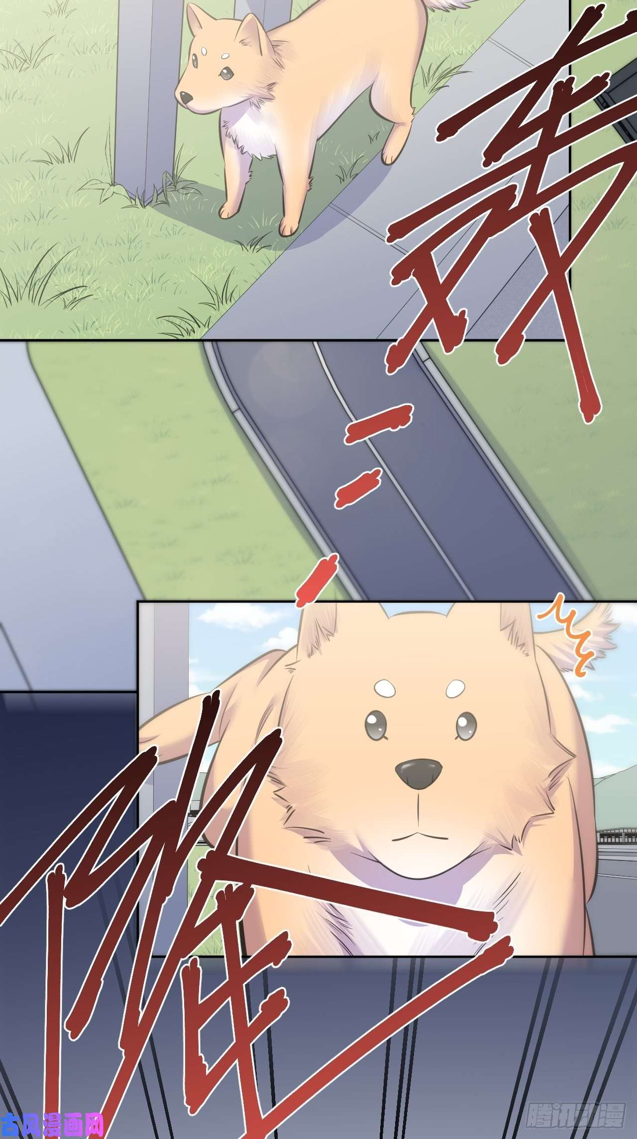 岳父大人是老婆58.比赛开始了！