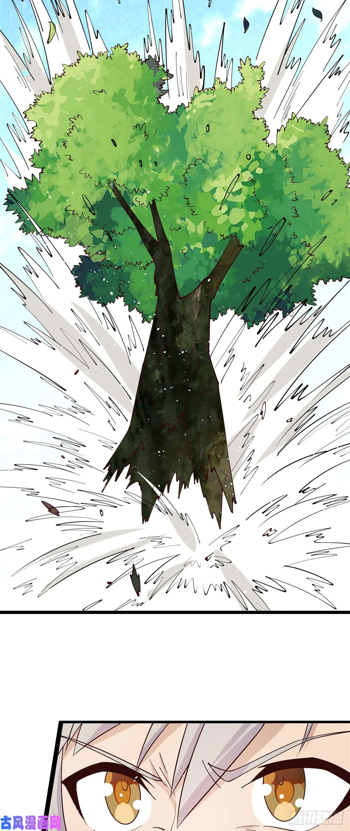 真武世界009 成与败