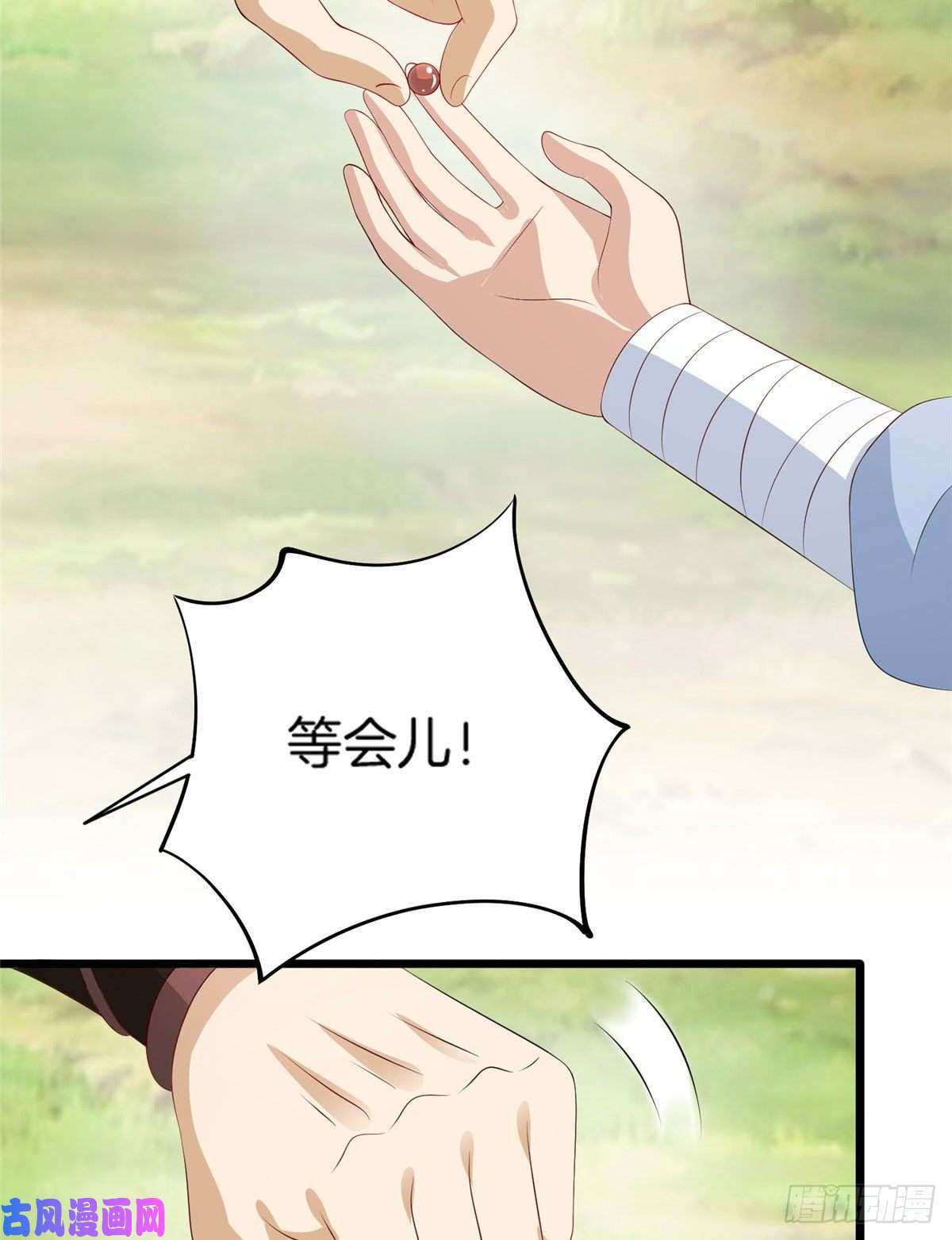 真武世界012 丹药有问题