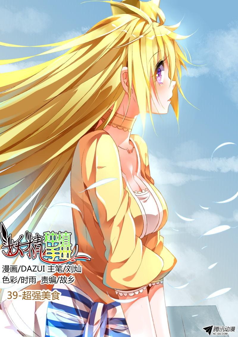 妖精种植手册39-超强美食