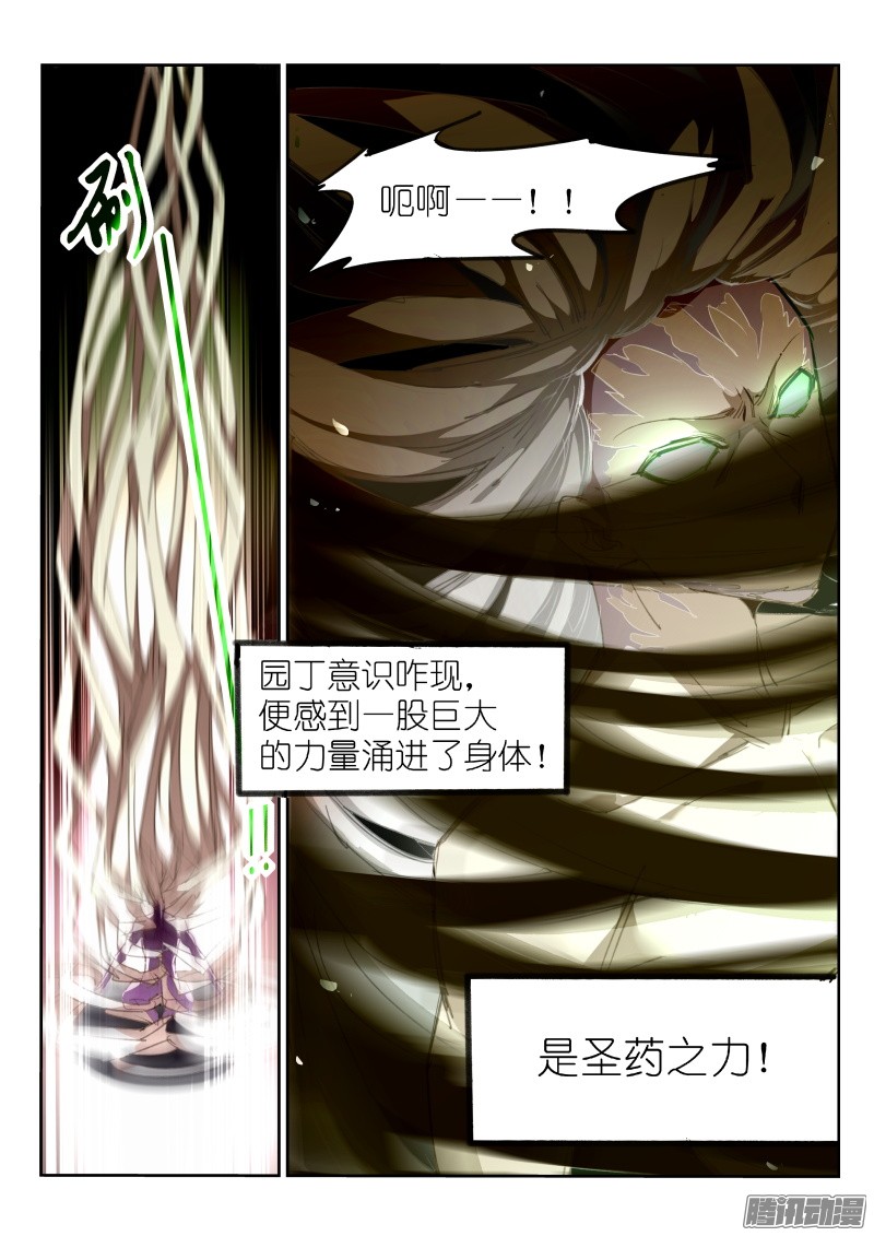 妖精种植手册216-跟白芷合体！