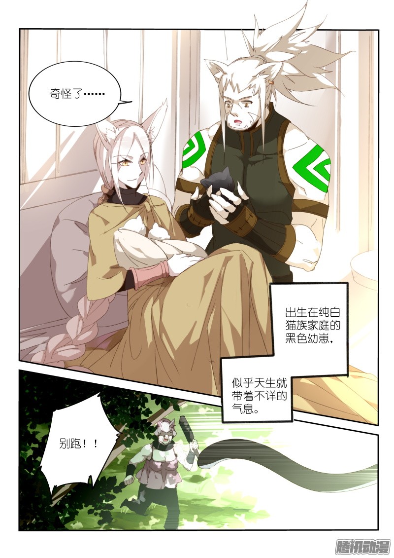 妖精种植手册234-黑猫