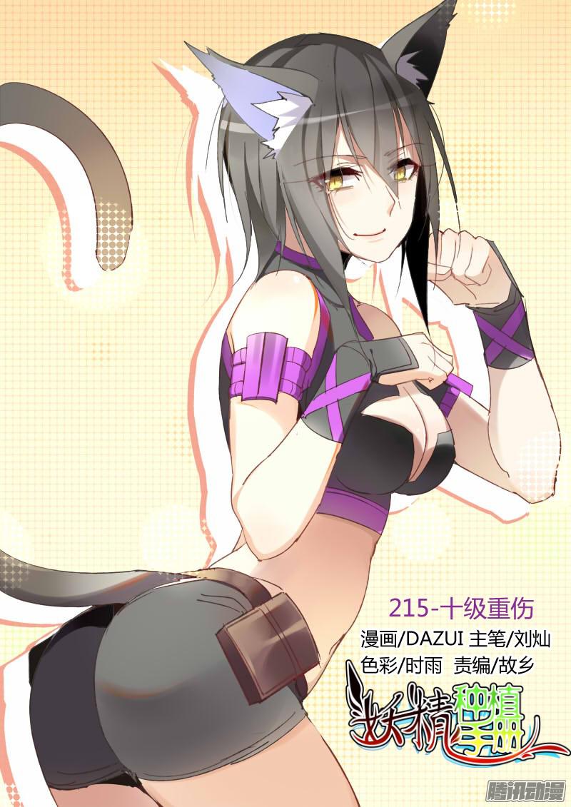 妖精种植手册250-十级重伤