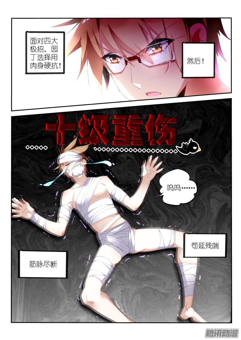 妖精种植手册250-十级重伤