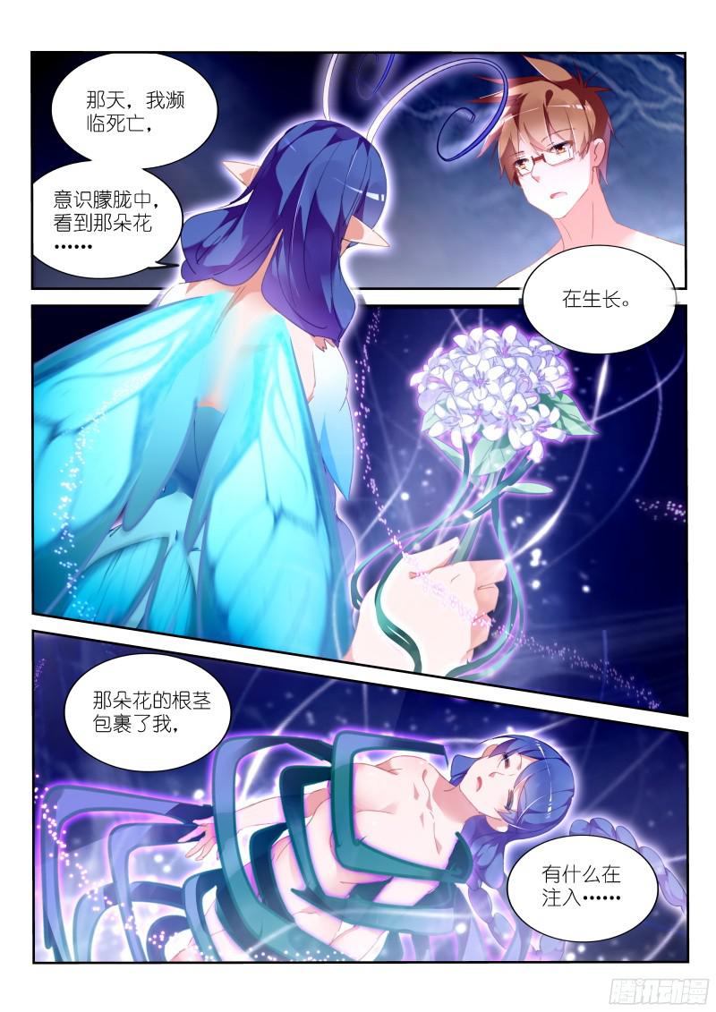 妖精种植手册308-梦，该醒了