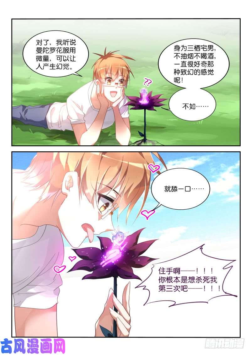 妖精种植手册368-逆途归人