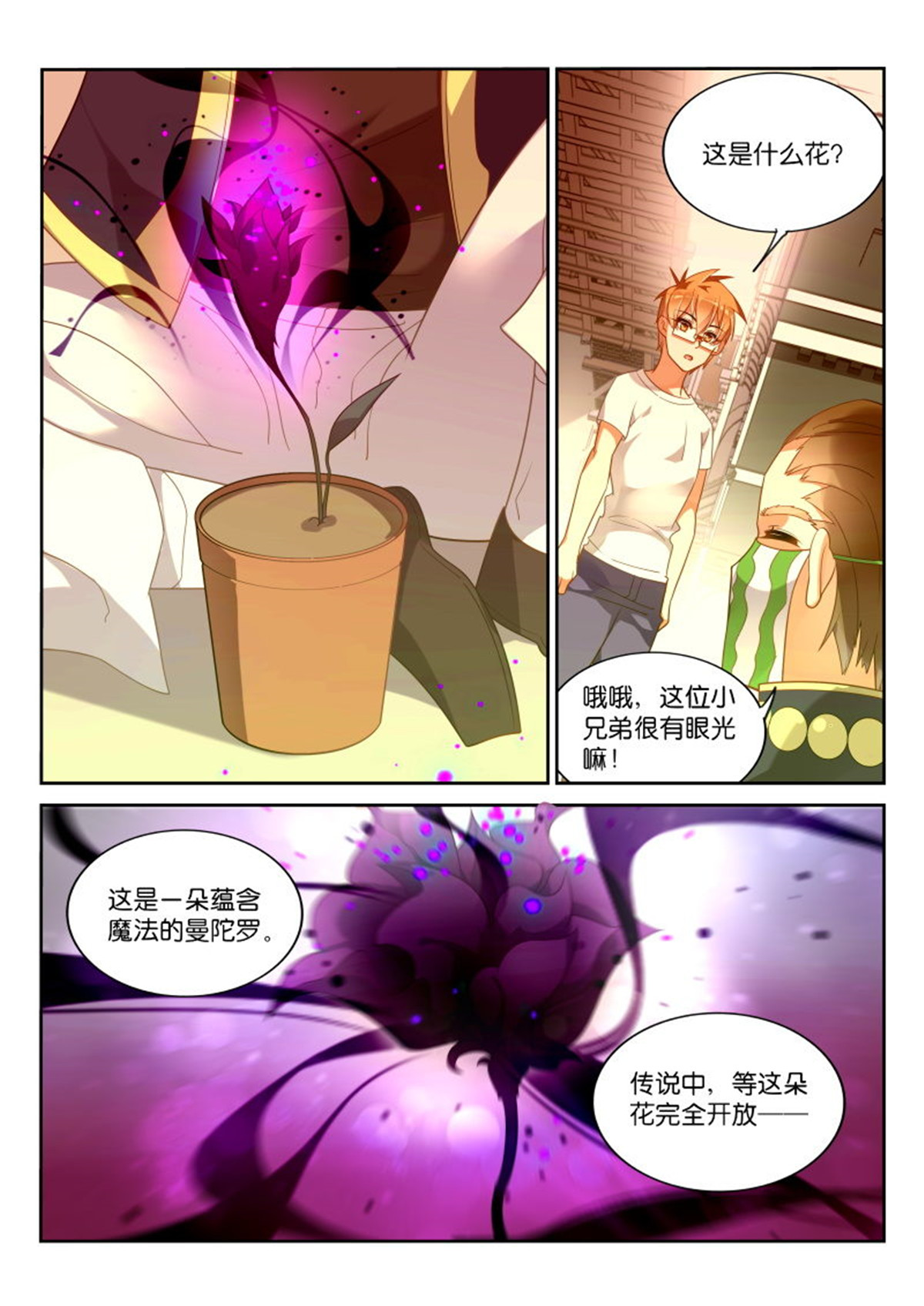 妖精种植手册360 360-最佳礼物