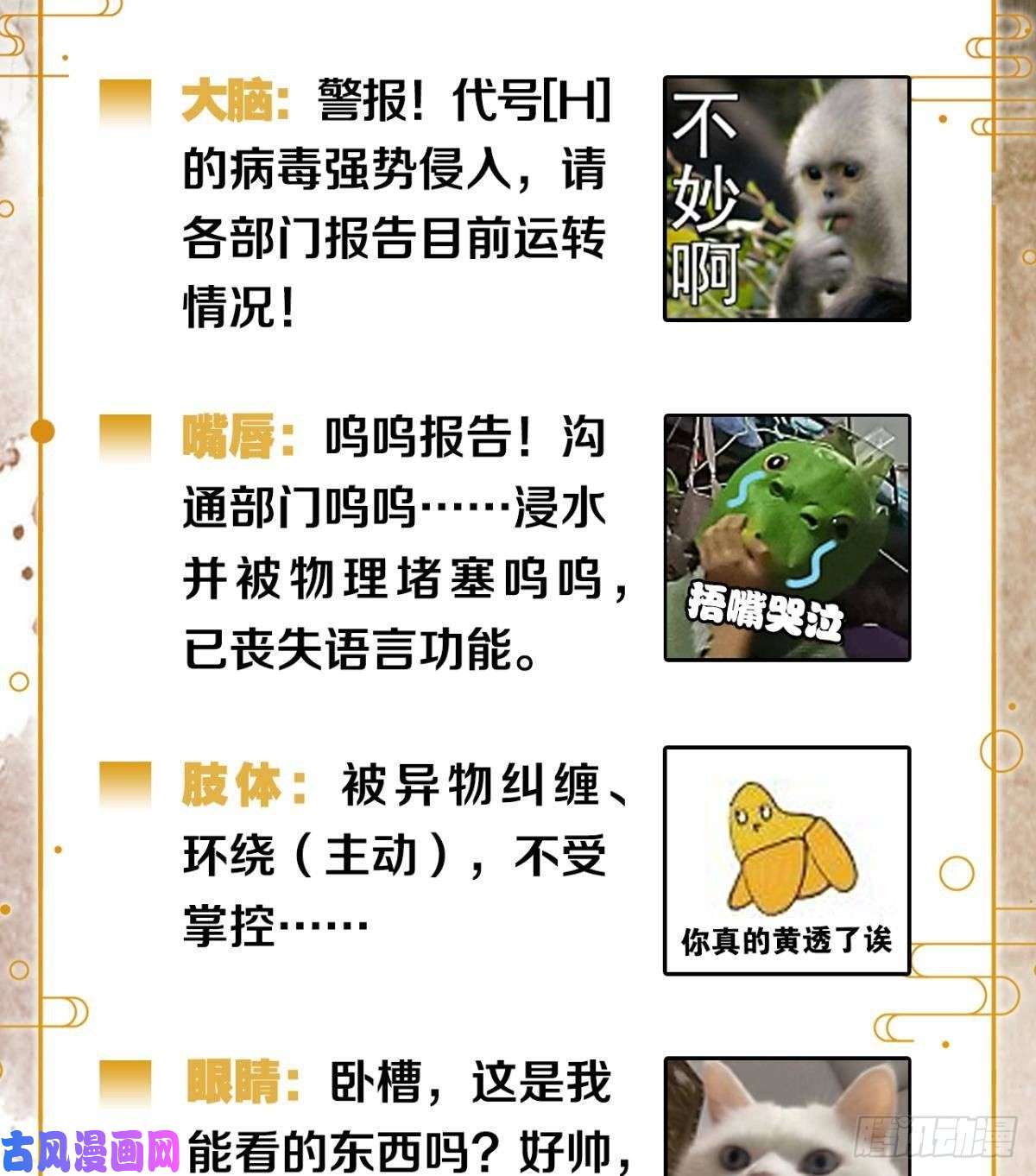 胜者为王，败者为妃脑子里有奇怪的东西