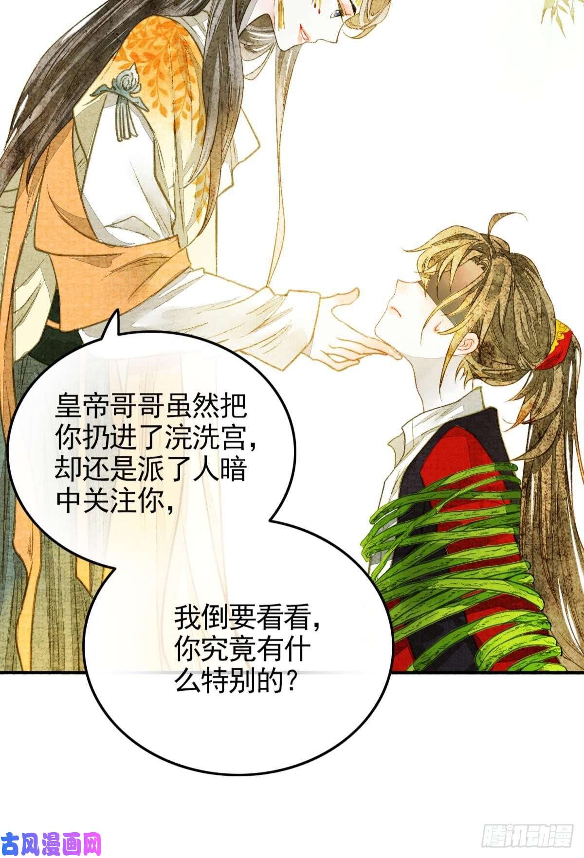 胜者为王，败者为妃亲兄弟？真骨科？