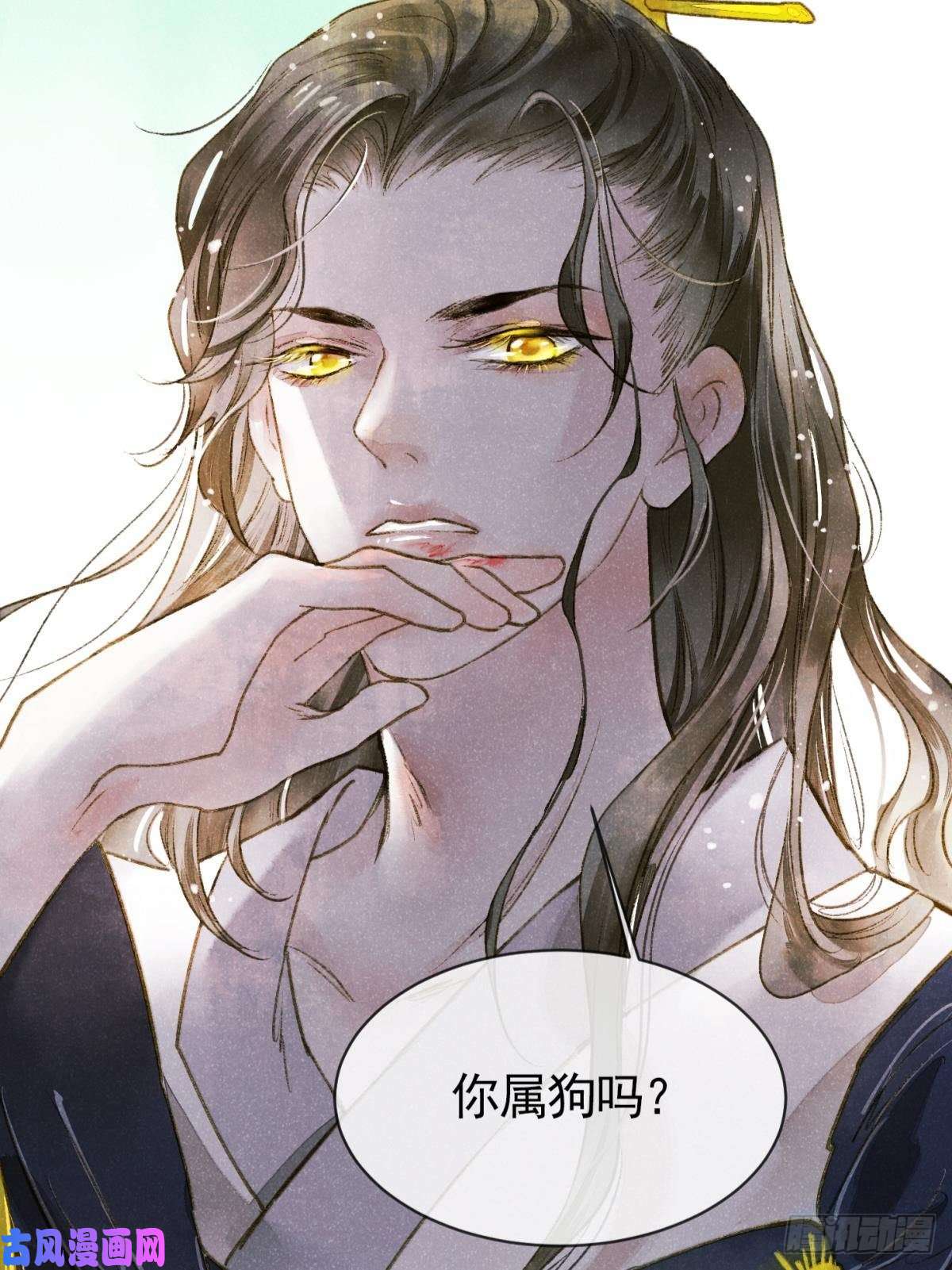 胜者为王，败者为妃天子树的奇特爱好