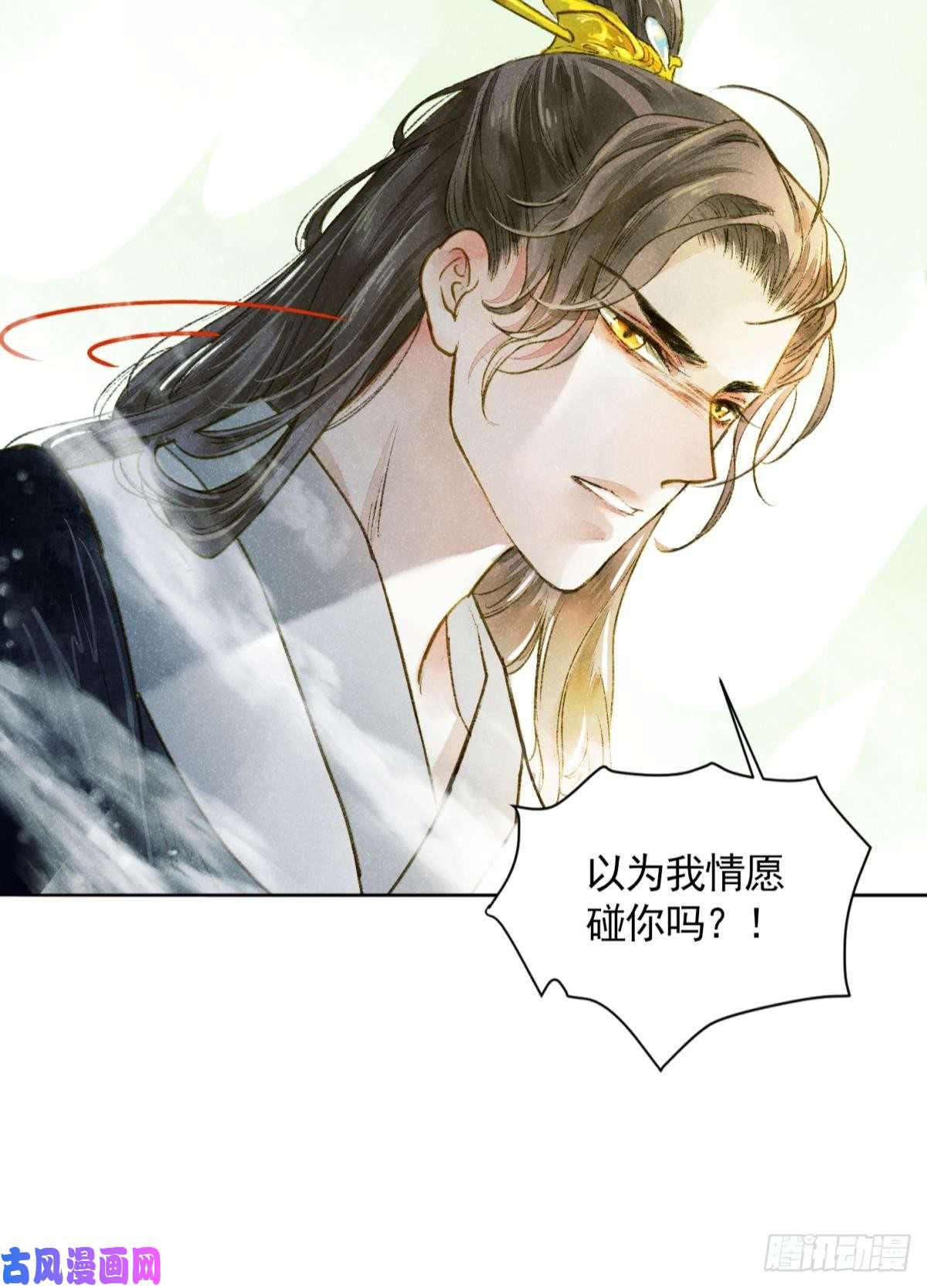 胜者为王，败者为妃天子树的奇特爱好