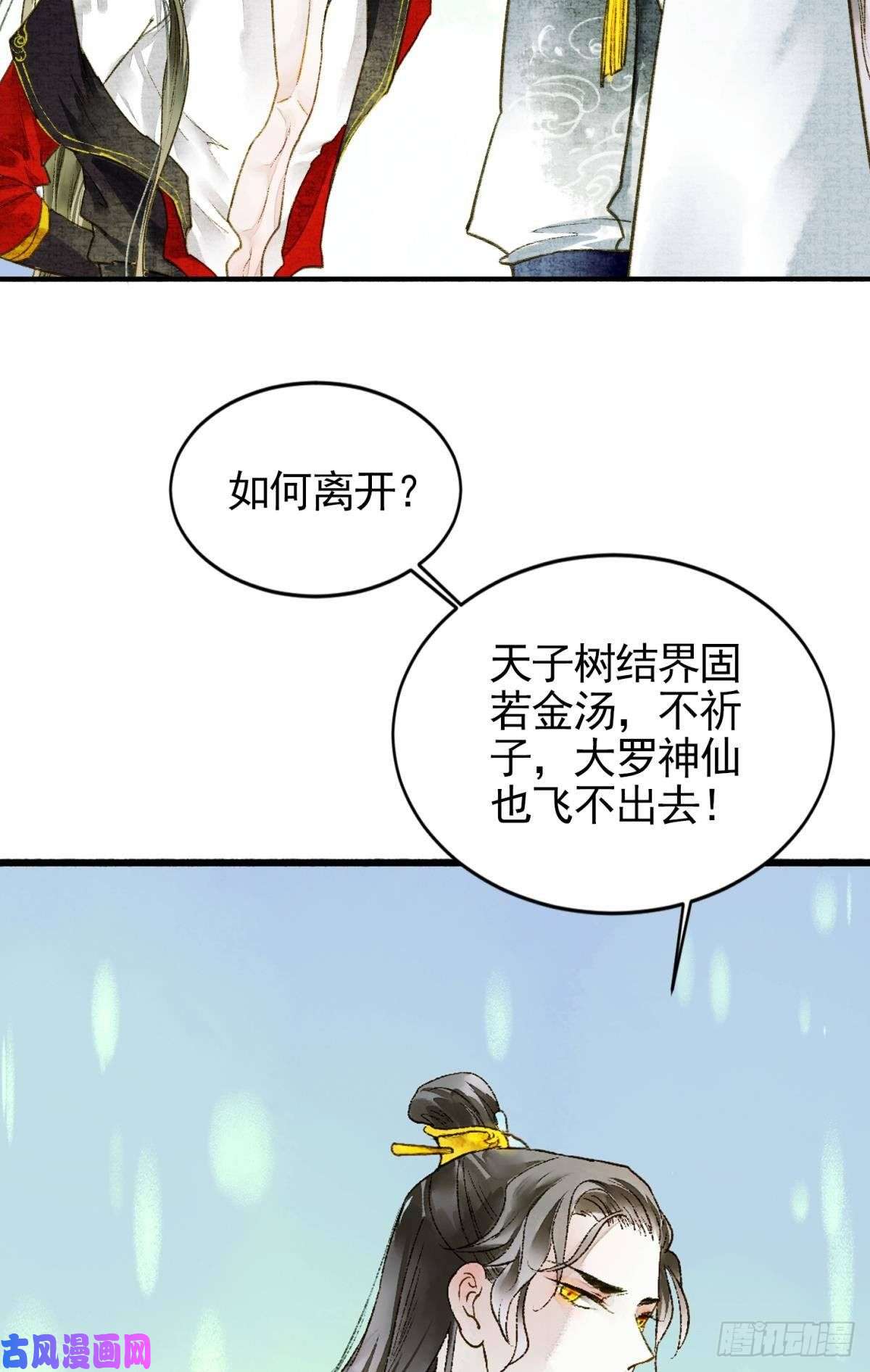 胜者为王，败者为妃天子树的奇特爱好