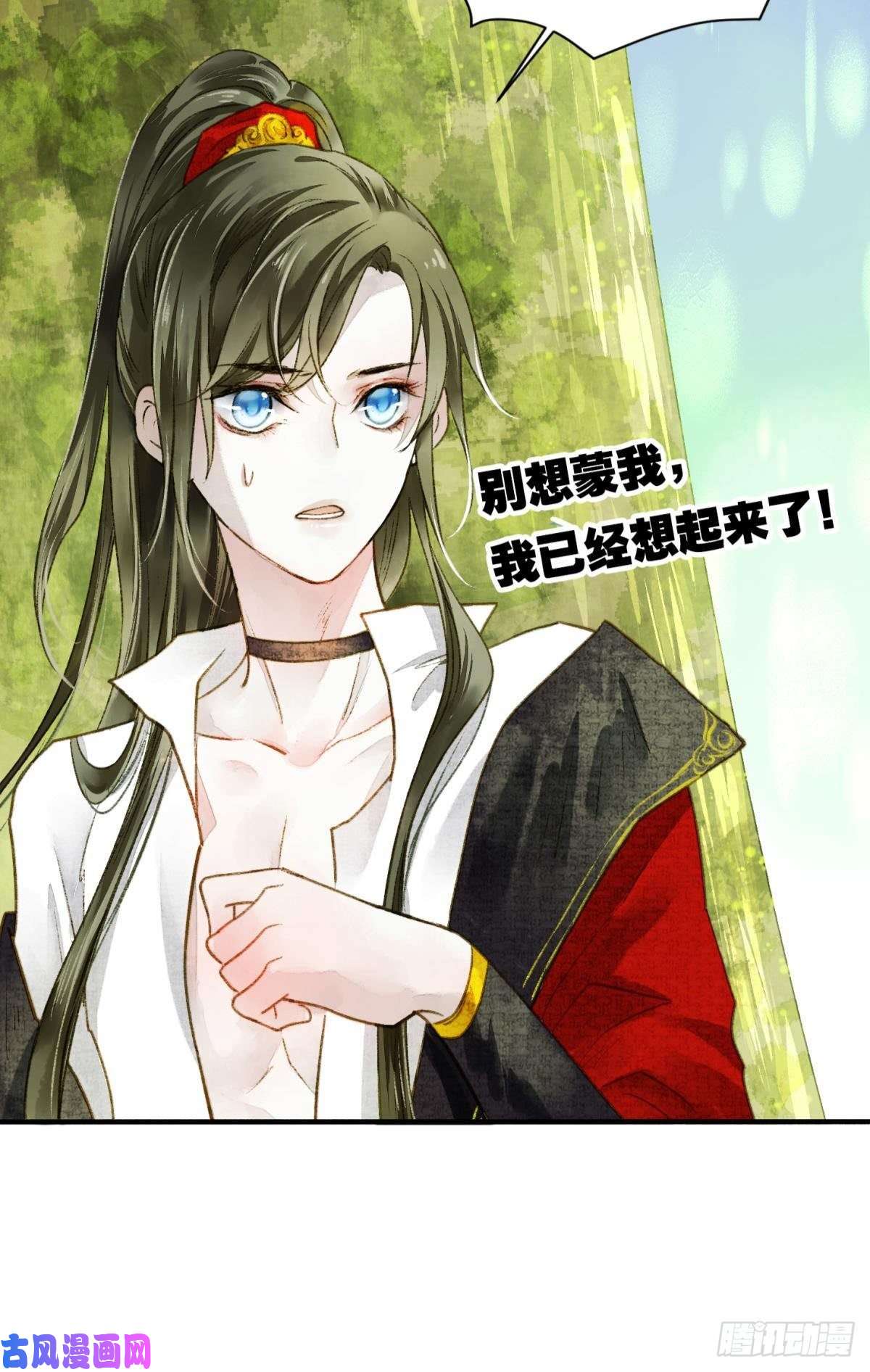 胜者为王，败者为妃天子树的奇特爱好