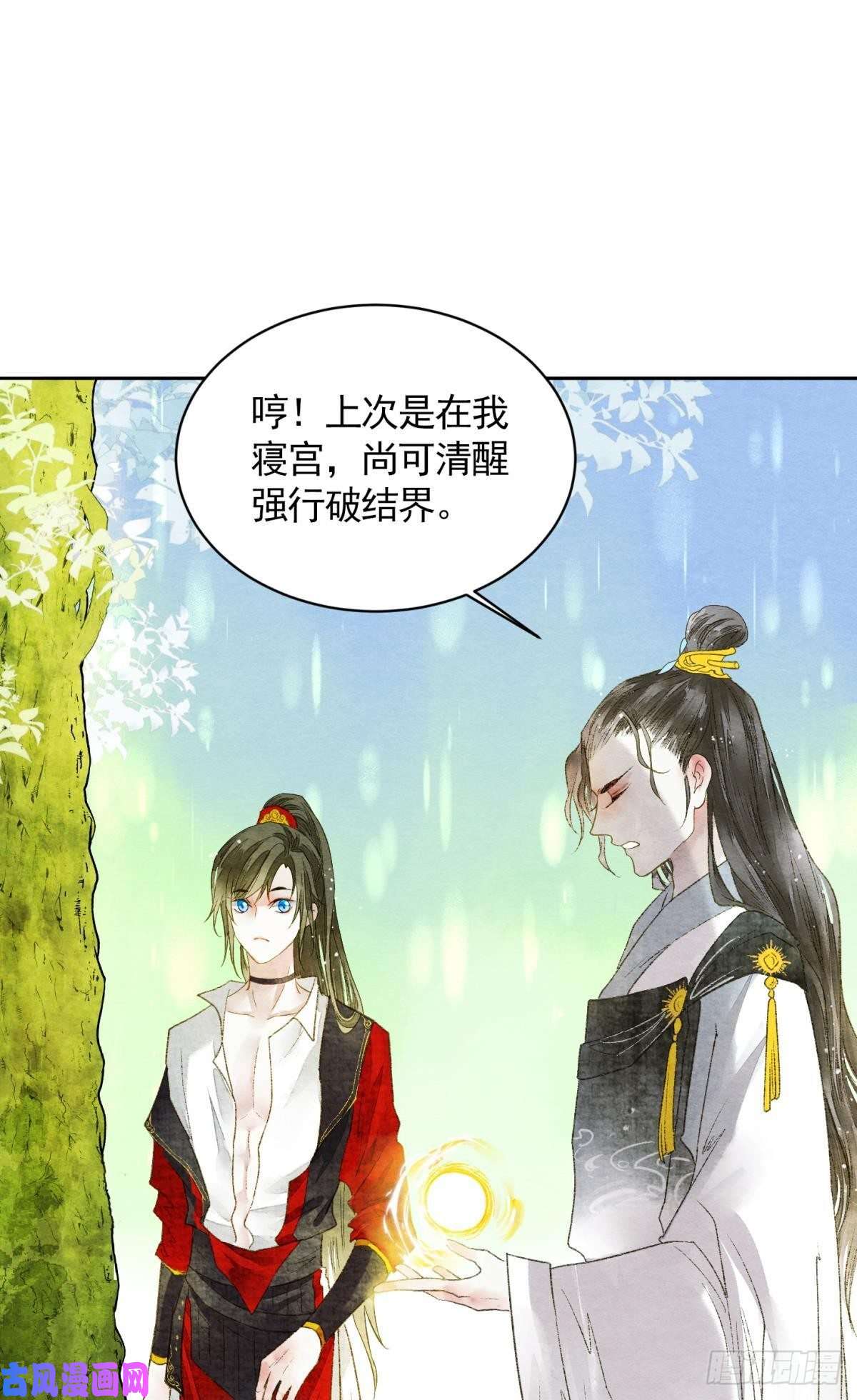 胜者为王，败者为妃天子树的奇特爱好