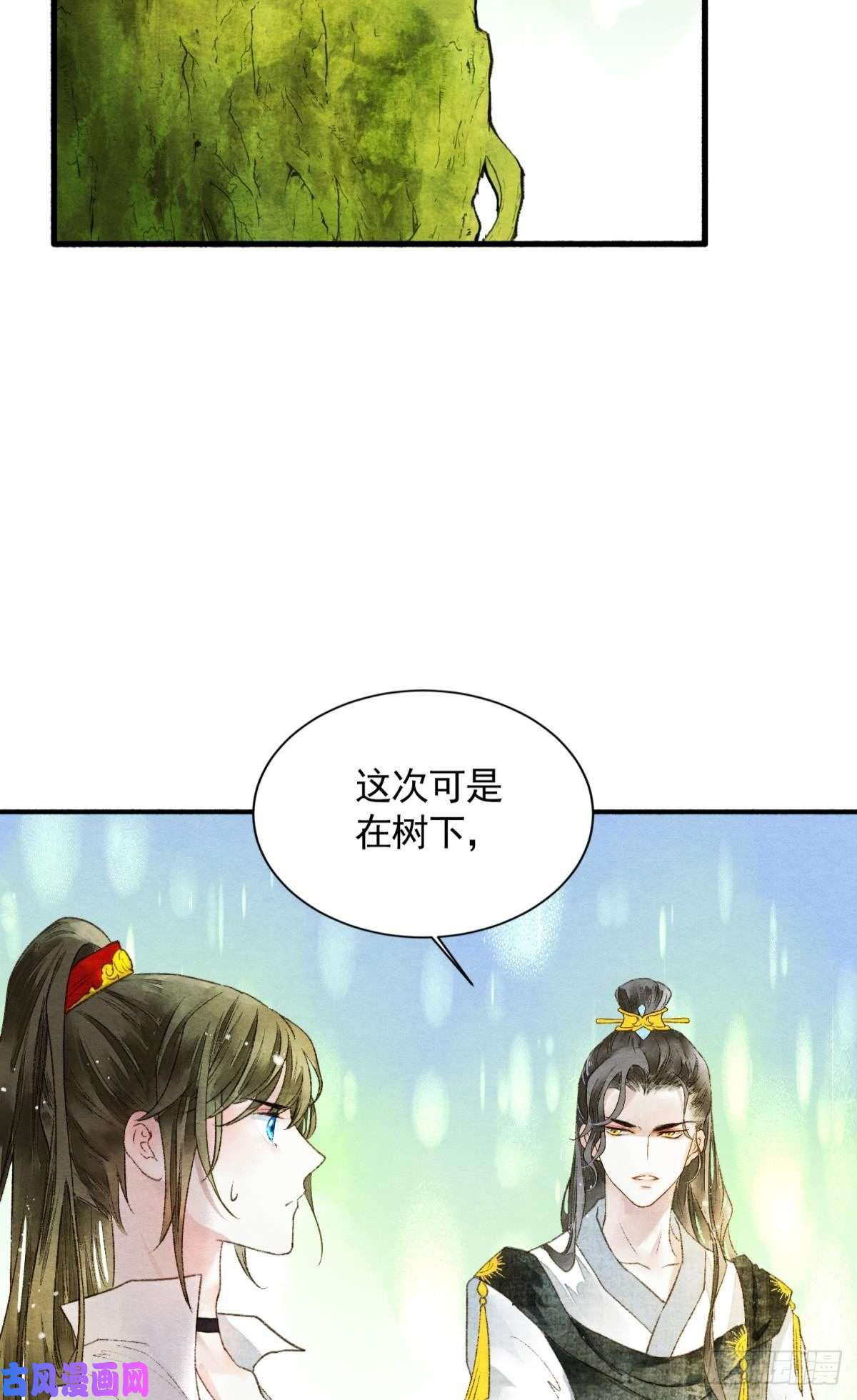 胜者为王，败者为妃天子树的奇特爱好