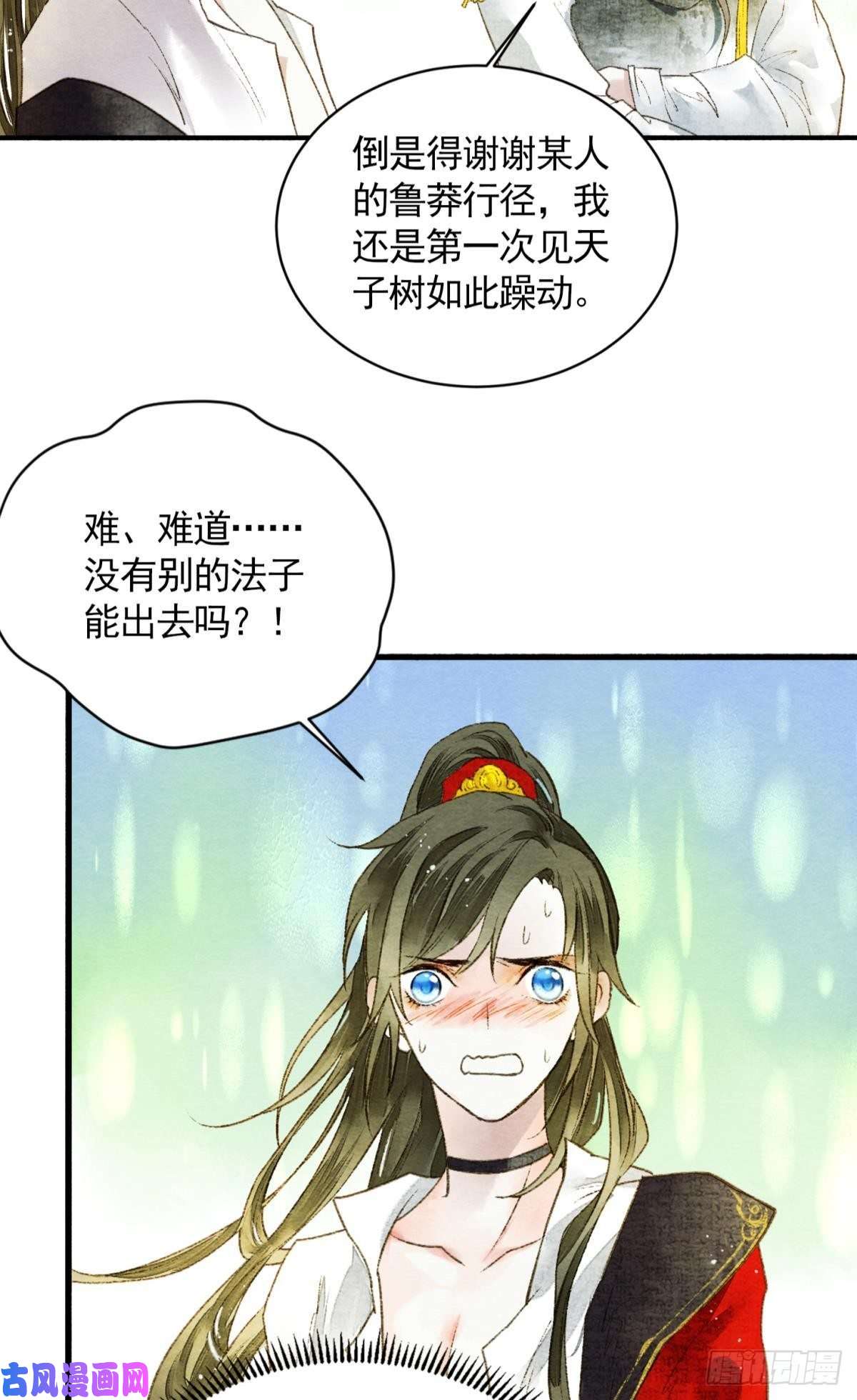 胜者为王，败者为妃天子树的奇特爱好