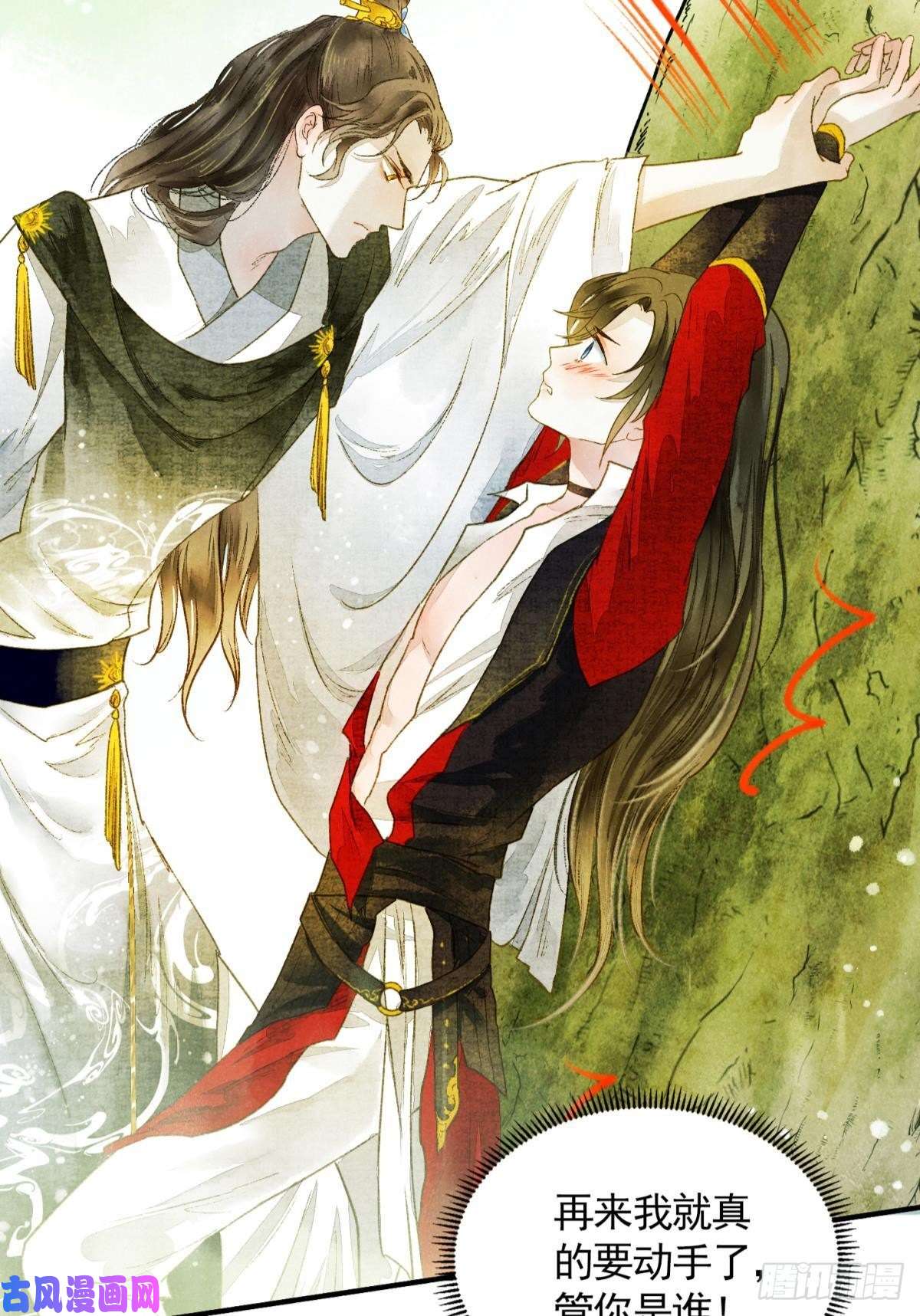 胜者为王，败者为妃天子树的奇特爱好