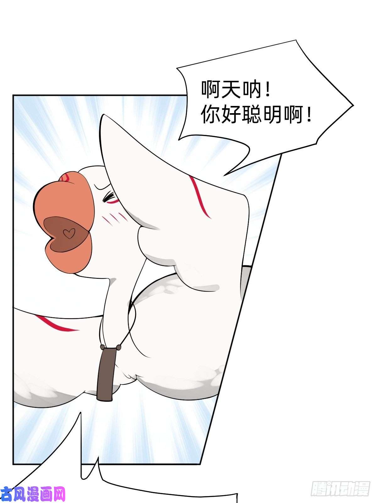 叫我复仇女神搞不懂这个女人！！！