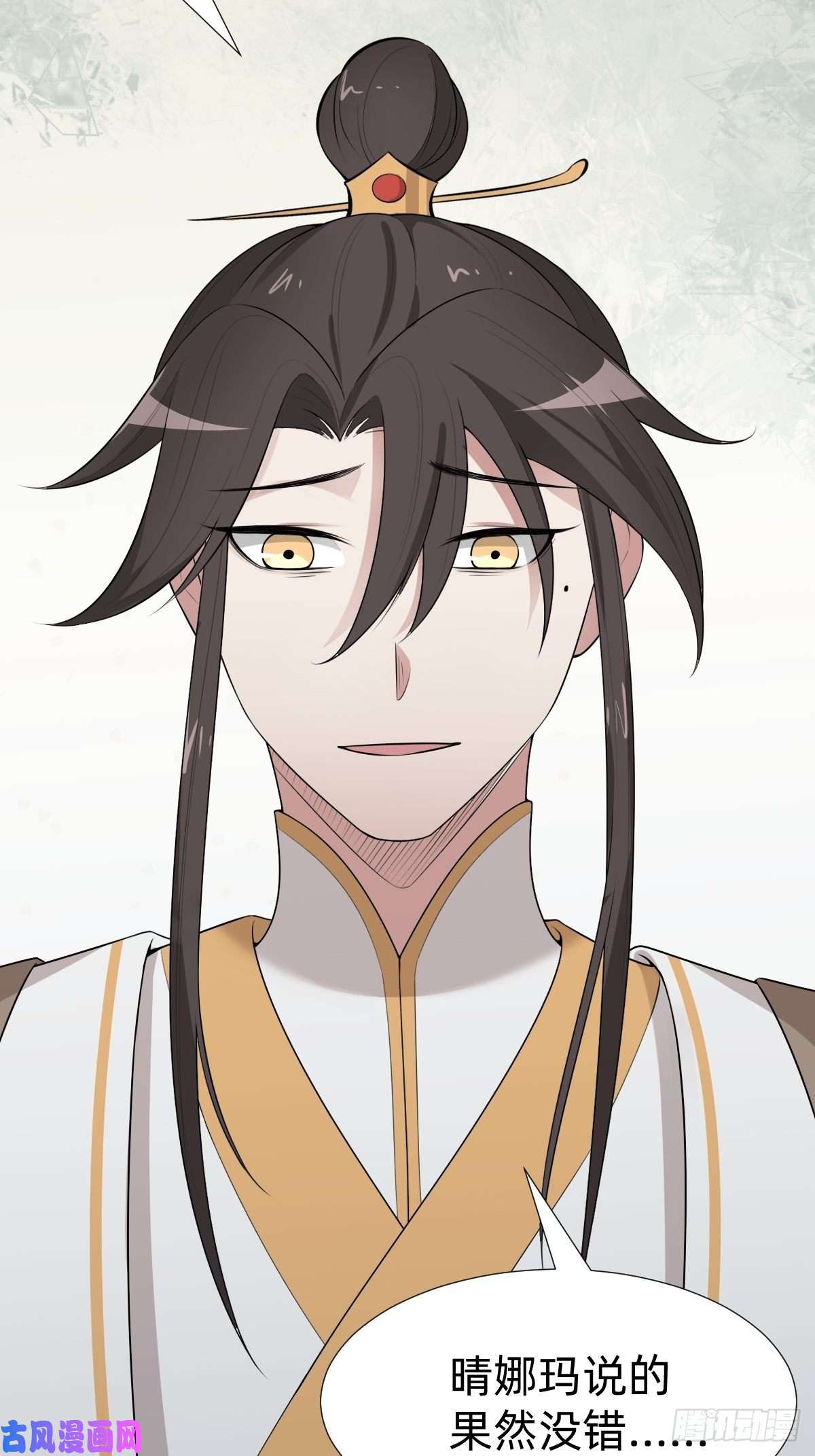 叫我复仇女神跑话鹰巢的老鼠？