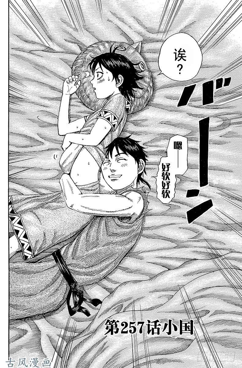 王者天下第257话 小国