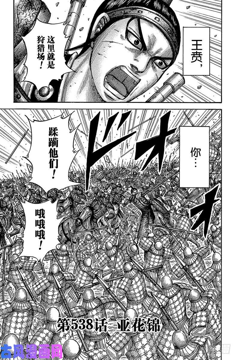 王者天下第538话 亚花锦