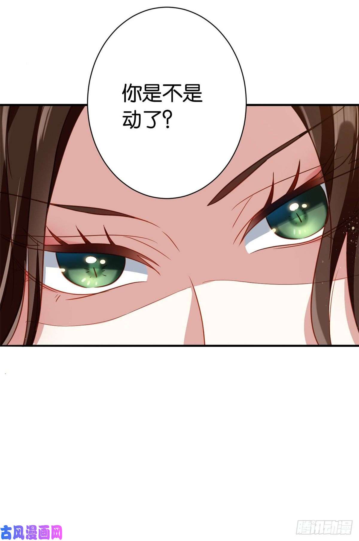 韶光慢第十二话