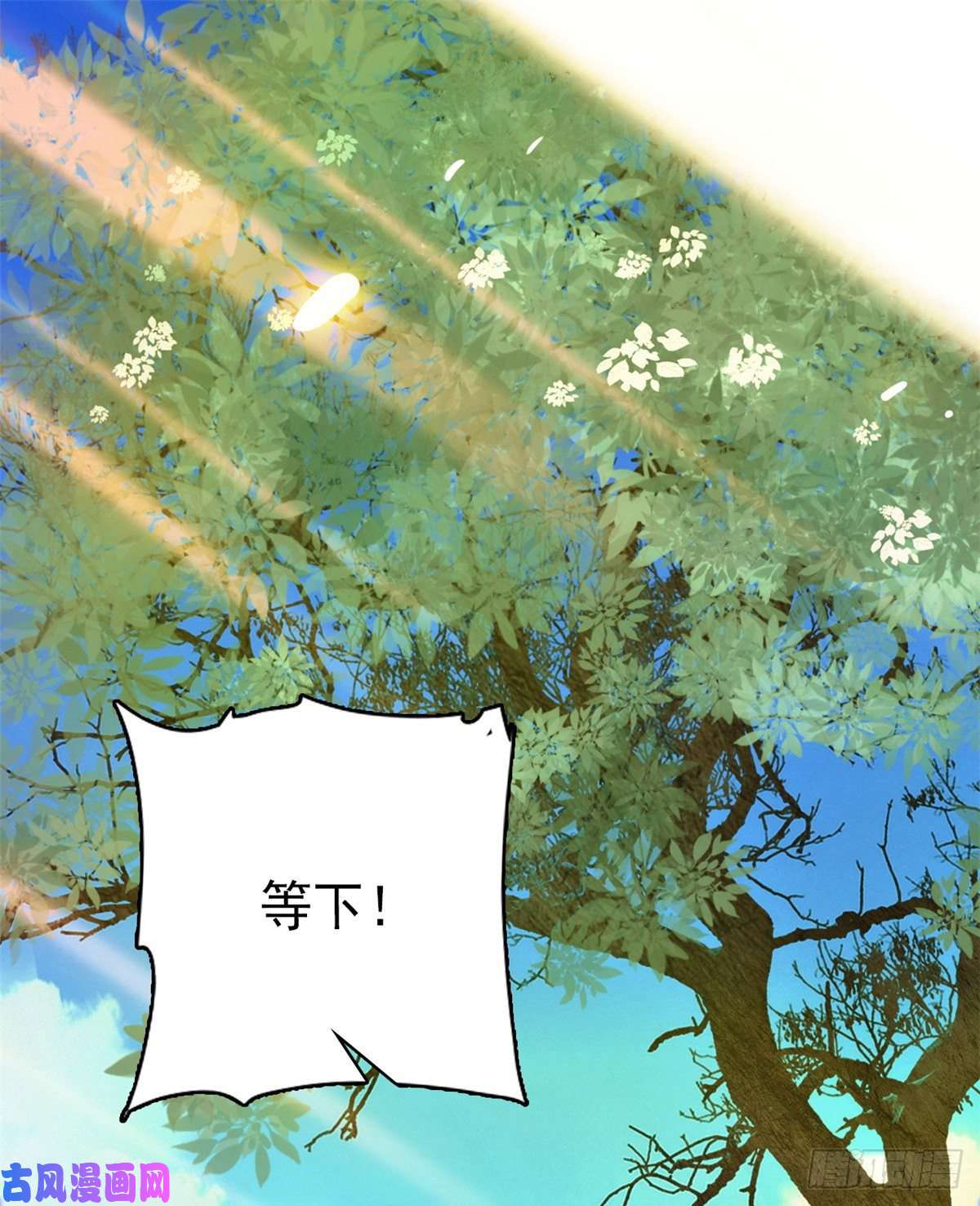 韶光慢第38话 几日不见学会这一招了