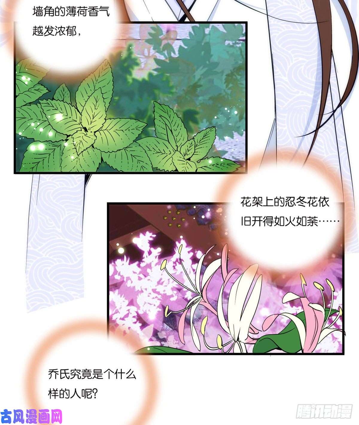 韶光慢第53话 乔氏是个什么样的人呢