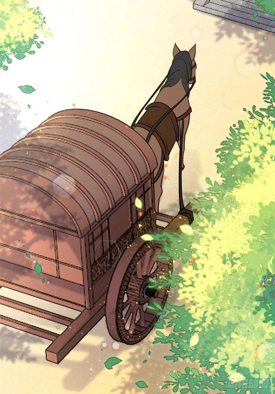 韶光慢11话 仙人球