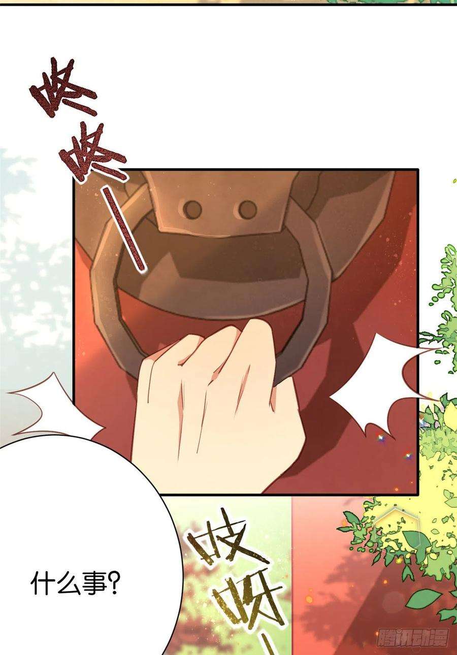 韶光慢11话 仙人球