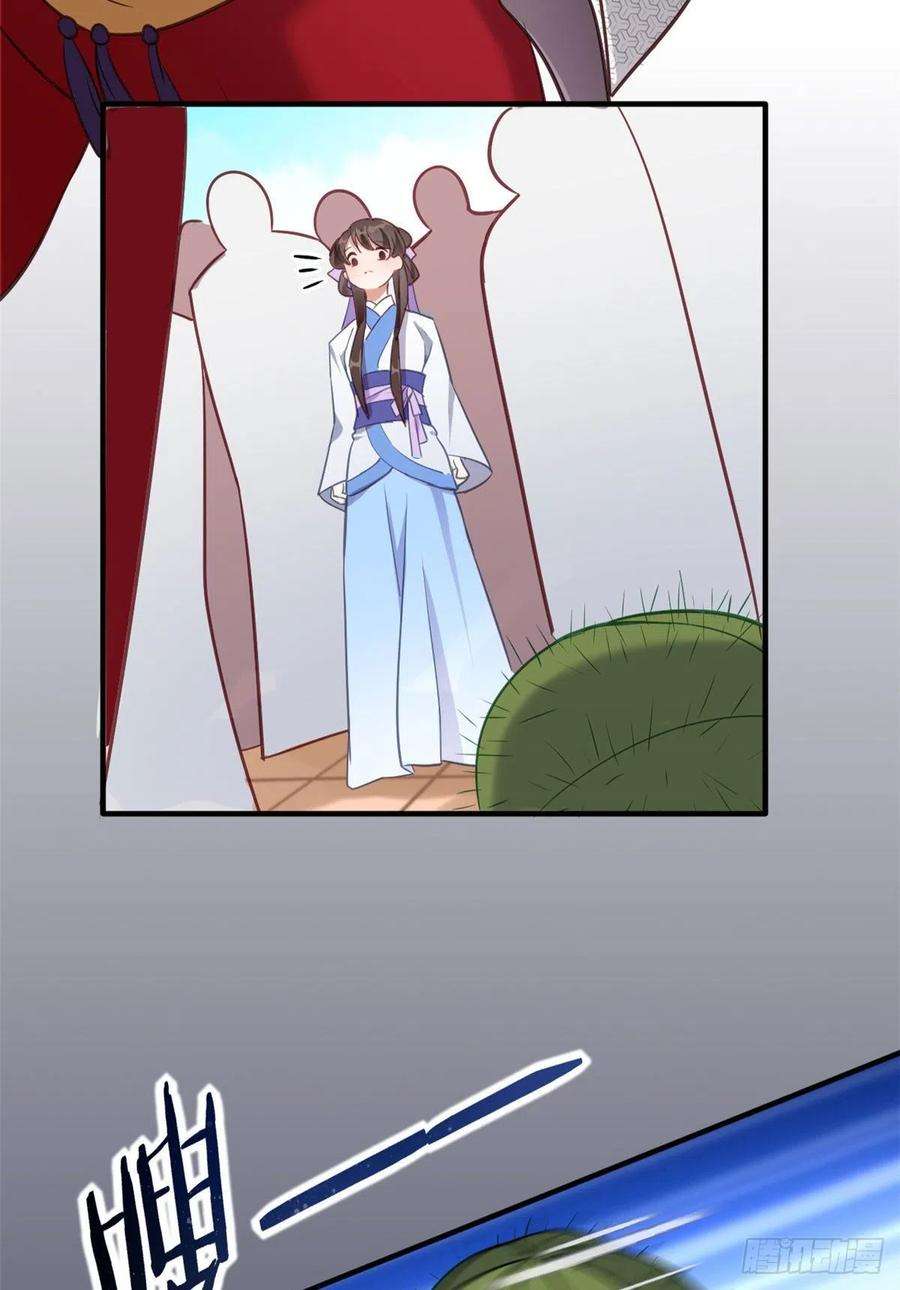 韶光慢11话 仙人球