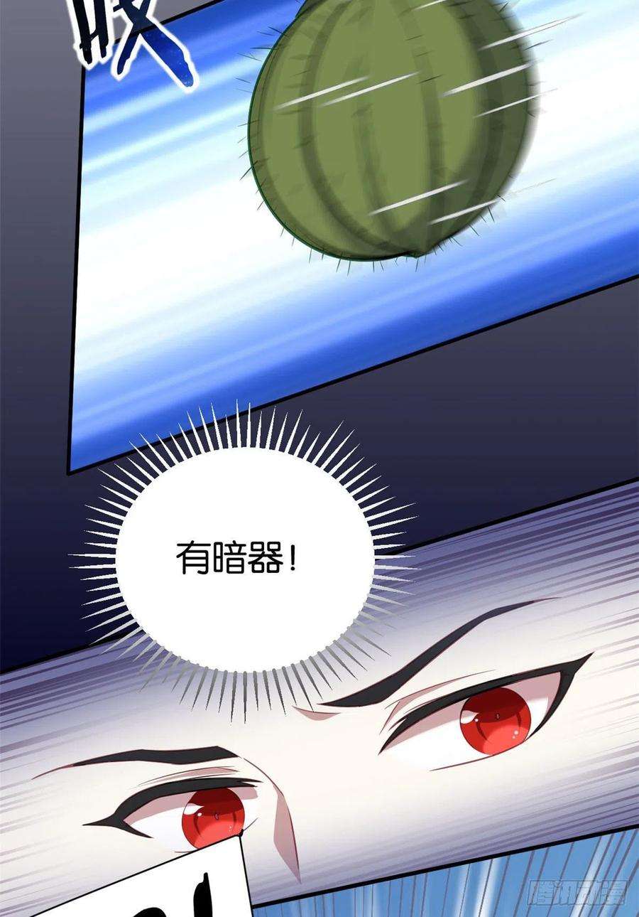 韶光慢11话 仙人球