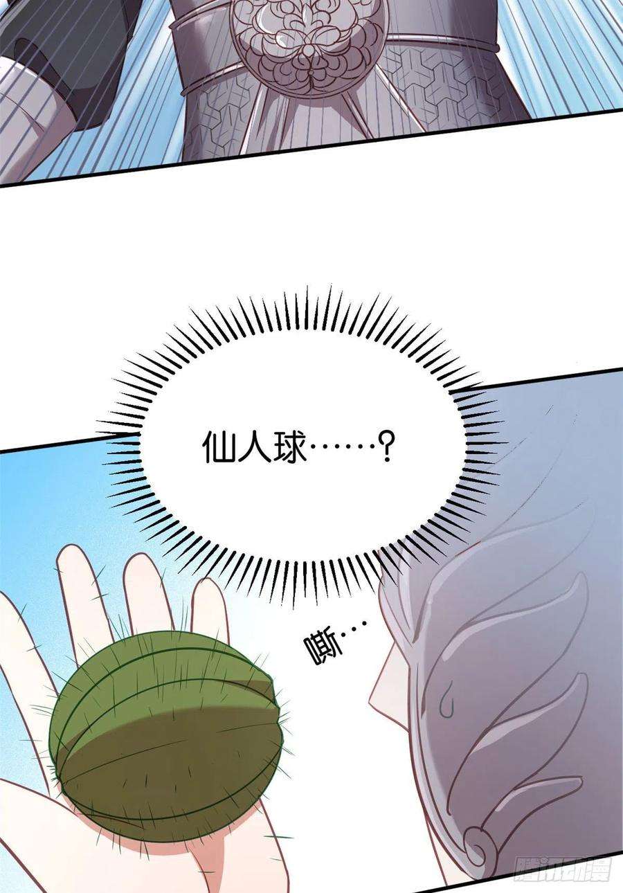 韶光慢11话 仙人球