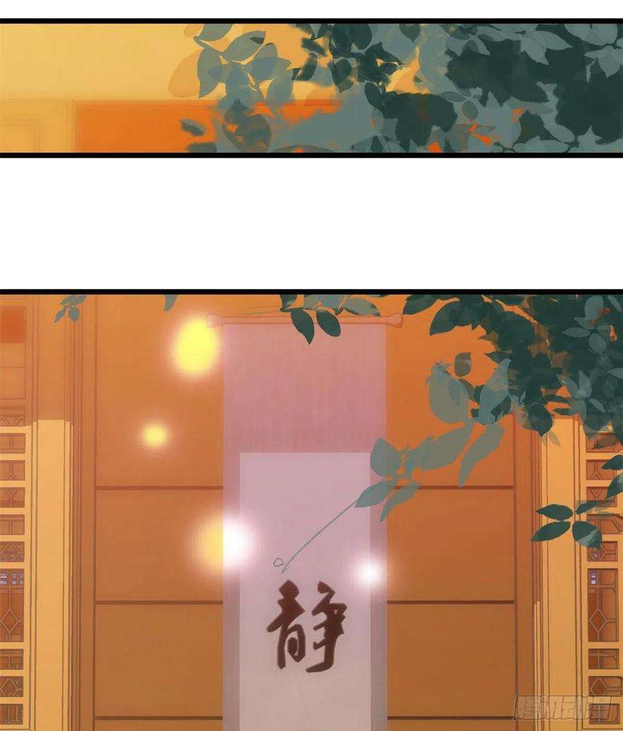 韶光慢35话 这丁香花好看么