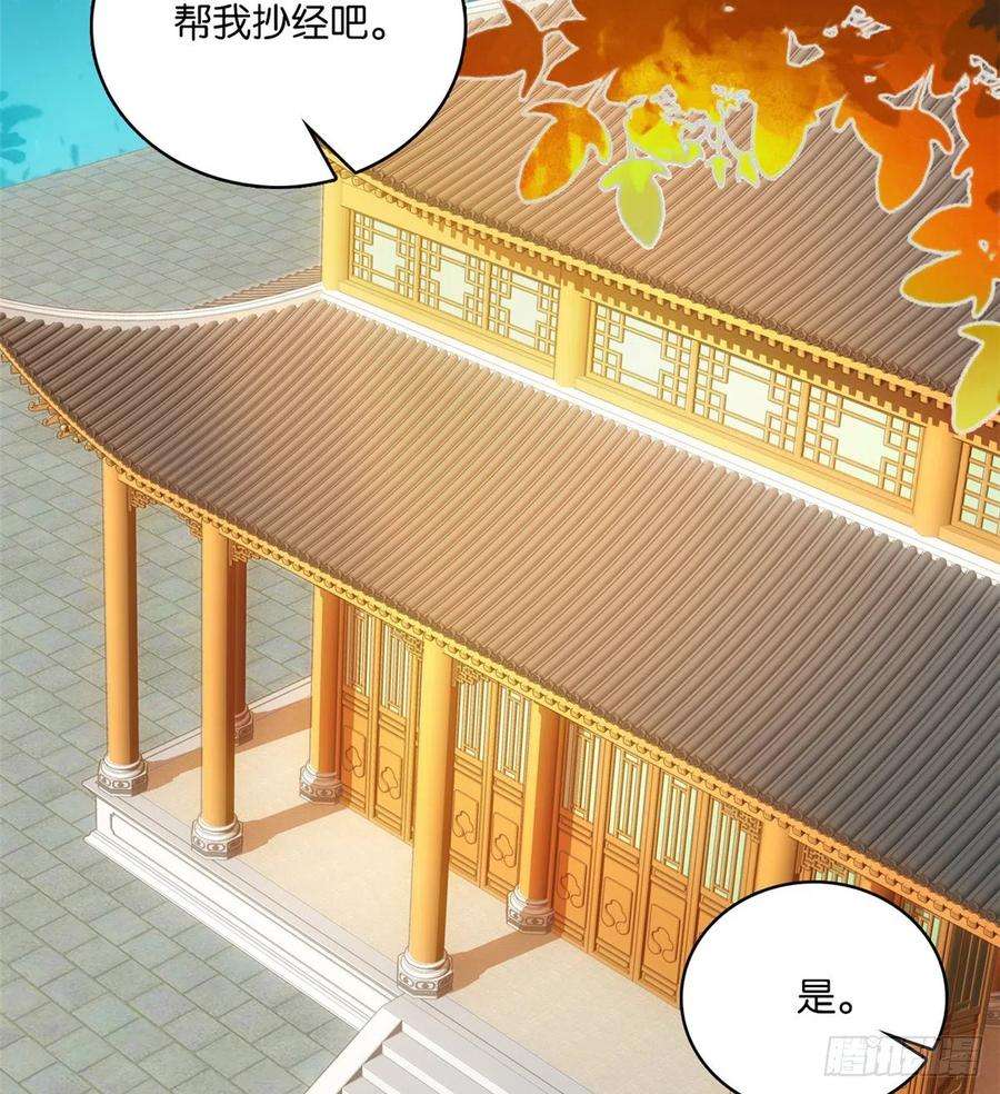 韶光慢35话 这丁香花好看么