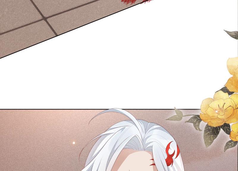 苍兰诀4话 我的新追求者