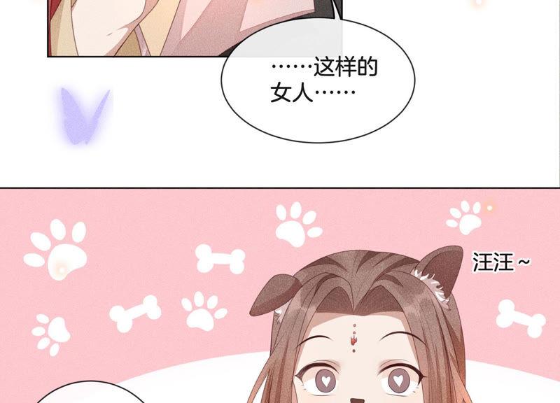 苍兰诀4话 我的新追求者